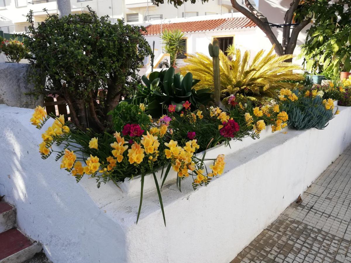לאגוּ‏ש Apartamentos A Cerca מראה חיצוני תמונה